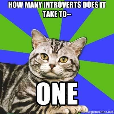 introvert meme cat how many does it take