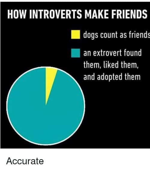 introvert meme how introverts make friends