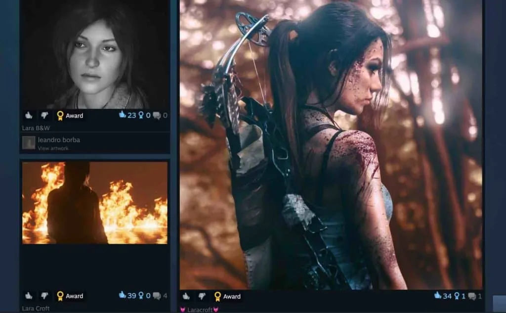 Steam game artwork Tomb Raider
