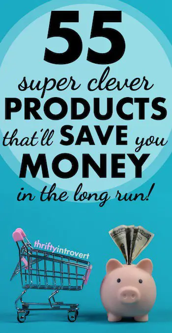 products that will save you money pin